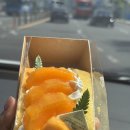 베이커리카페모짜르트 | 대전 성심당 케익부띠끄 망고 디저트 총정리 (실제 후기) 🍰