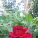 군포시청(별관) 이미지