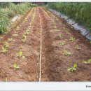 무랑농장 이미지