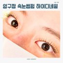 하이디빌딩 이미지