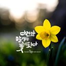 캘리그라피 입문 이미지
