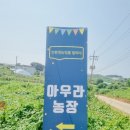 아우라 농장 이미지