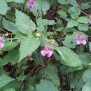 대성골1 이미지