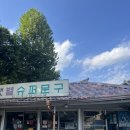 머쉬멜로우민박 | 천안 아우내 민박 후기 촌캉스 바베큐 자쿠지 숙소 추천