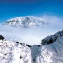 산포초등학교 이미지