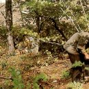 부강목장 이미지