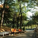 고척근린공원 이미지