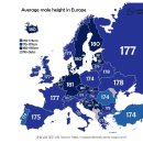 의료법인 이원의료재단 | 유전자 조절에 영향을 미치는 비타민D