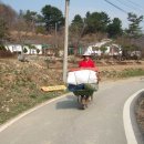 강촌갈비