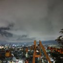 벌크커피조대