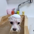 짱아미용실 이미지