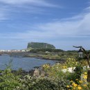 제주도 동쪽여행코스 성산일출봉 무료탐방구간- 성산감성숙소 뷰맛집 스테이라움