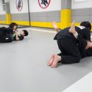 팀크로우 MMA 이미지