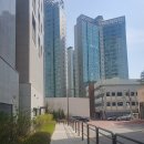 정보사 주거시설 | 서초동 #아트래디앙 임장후기