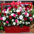 월촌초교 이미지