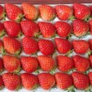 해담영농조합법인 이미지