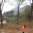 개나리낚시공원 이미지