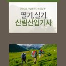 산림산업