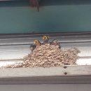 세연정모텔 이미지