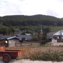 천락 이미지