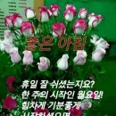 세계서화가협회