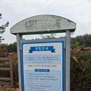 해곡농장 | 두돌 아이와 함께한 용인농촌테마파크 주말 나들이 후기 (길안내 로봇)