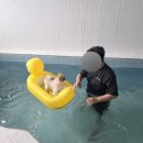 두바이애견풀빌라2