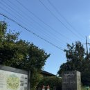 숙이목장 | 제주도 승마 체험 조랑말체험공원 후기, 아이랑 가기 좋은 제주 액티비티