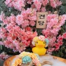 온블리살롱 이미지