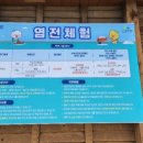 염전체험 네이버블로그