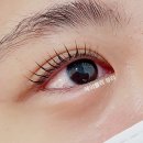 제이블리뷰티 - 21356 | 제이블리뷰티