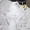 왔다 달콤한 종강이여