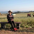 고창농장 이미지