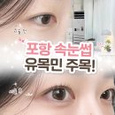 쁨쁨 | 포항 북구 속눈썹펌 유목민 정착 ! 장성동 뷰티쁨쁨 노글루 클리닉펌 후기
