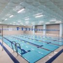 신기스포렉스 이미지