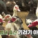 박규철농장 이미지