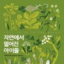 자연아이숲유치원 이미지
