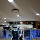 안경찾기 안경원 | 불광역 안경 파르베 안경원 방문 후기: 브랜드 선글라스부터 정밀 검안까지 완벽!