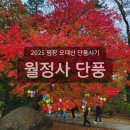 오대산식당(본점) | 2025 오대산 월정사 단풍시기 전나무숲길 선재길 근처 맛집