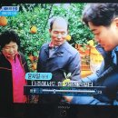 태경농원 이미지