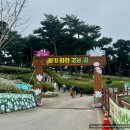 전북특별자치도 정읍시장애인체육관 | 2025 정읍 구절초 꽃축제 아기랑 일정 개화상황 일정 입장료