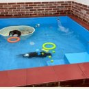 칠곡동물체험카페 이미지