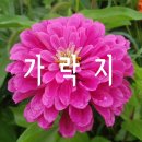 오늘도건강