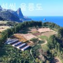 스테이 섬씽 울릉도 이미지