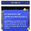 (현장체험)에코 탐험: 월미공원(초등가족) | 주말 가족 나들이 추천! 인천 국립해양박물관 &amp; 어린이박물관 리뷰