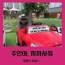 주인아 까까사줘 | [경북 경산 애견수제간식_전국 택배배송 가능한 ‘주인아,까까사줘’]