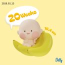유기농소세우김밥 | [임신 20-21주 차] 주차별 증상, 칠봉이짬뽕, 임산부 안전벨트, 솔리드옴므, 알에디션, 박소영만두...