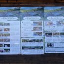 명품소나무길 이미지