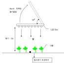 식물공장과 LED 조명 -2 이미지