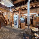 너구리의 피난처 이미지